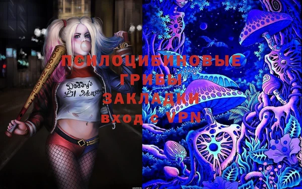хмурый Баксан