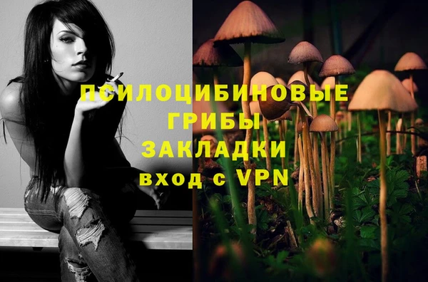 синтетический гашиш Балахна