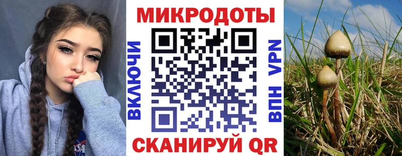 Псилоцибиновые грибы MAGIC MUSHROOMS  даркнет официальный сайт  Сухиничи  что такое  